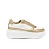 WHITE/GOLD/MILK